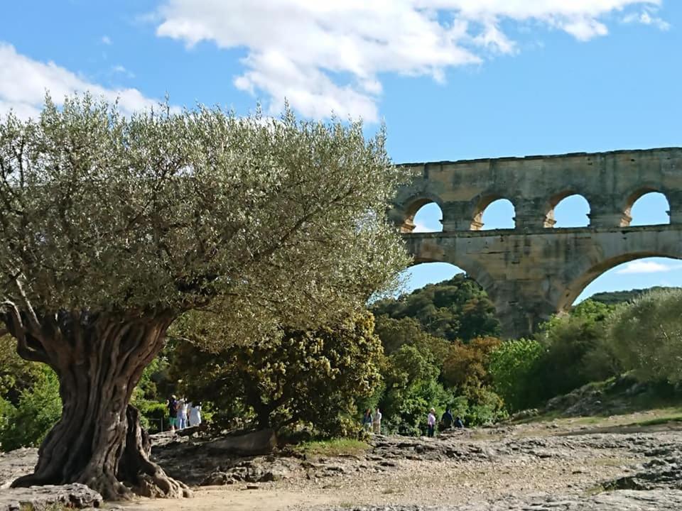 Lou Meinado Saint-Martin-de-Crau Kültér fotó